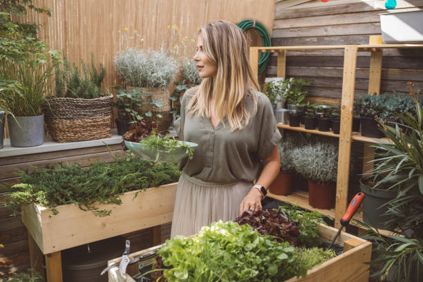 istock Nice and fresh veggies from home garden 1159901071