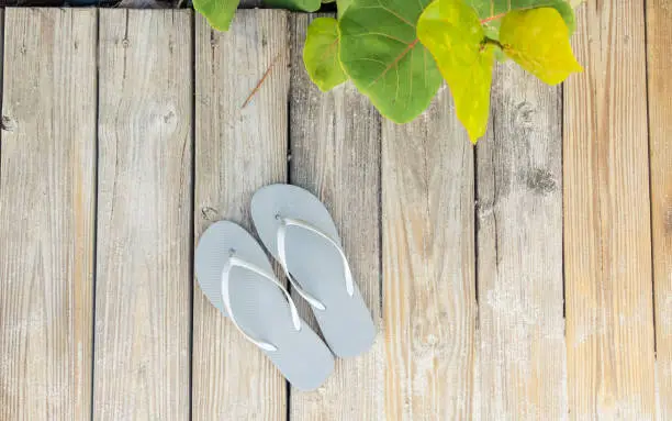 A wide angle view of a pair of grey flip-flop sandals are placed on a wooden boardwalk by the beach. Large green circular leaves naturally decorate the border.