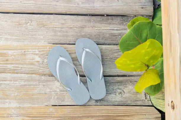 A pair of grey flip-flop sandals are placed on a wooden boardwalk by the beach. Large green circular leaves naturally decorate the border.