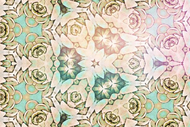 istock Succulent Mandala in Watercolour Style 1159903112