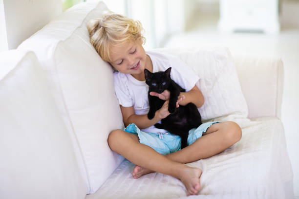 istock Child playing with baby cat. Kid and kitten. 1159903250