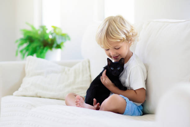 istock Child playing with baby cat. Kid and kitten. 1159903400