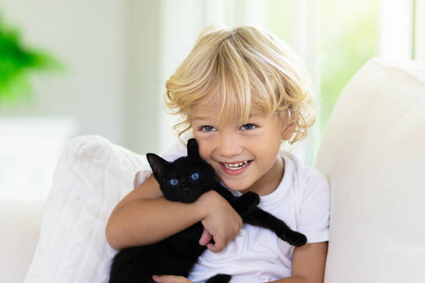 istock Child playing with baby cat. Kid and kitten. 1159904074