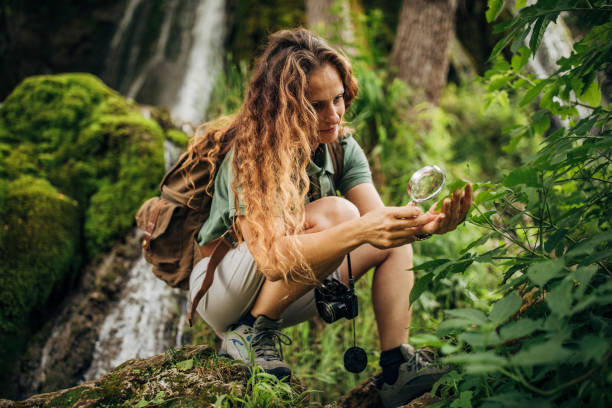 istock Woman biologist exploring plants in nature 1159904298