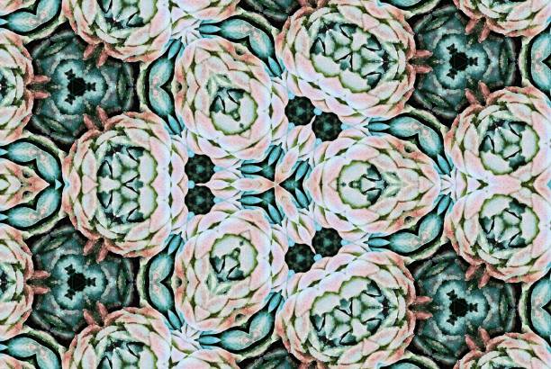 istock Succulent Mandala in Watercolour Style 1159904435