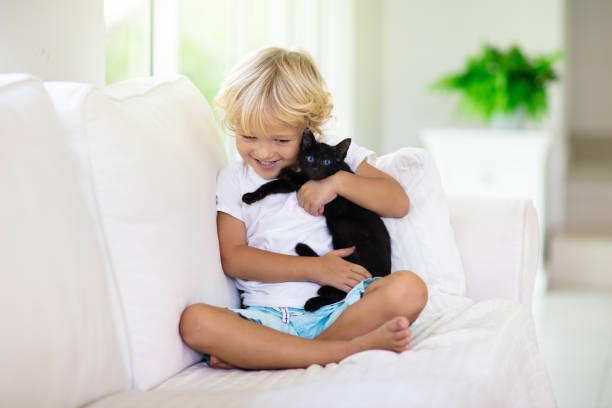 istock Child playing with baby cat. Kid and kitten. 1159905663