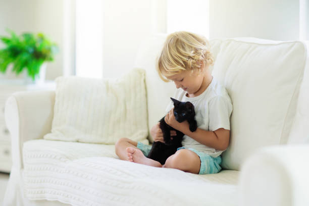 istock Child playing with baby cat. Kid and kitten. 1159905827