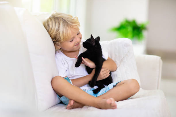 아기 고양이와 놀고있는 아이. 아이와 새끼 고양이. - child domestic cat little boys pets 뉴스 사진 이미지