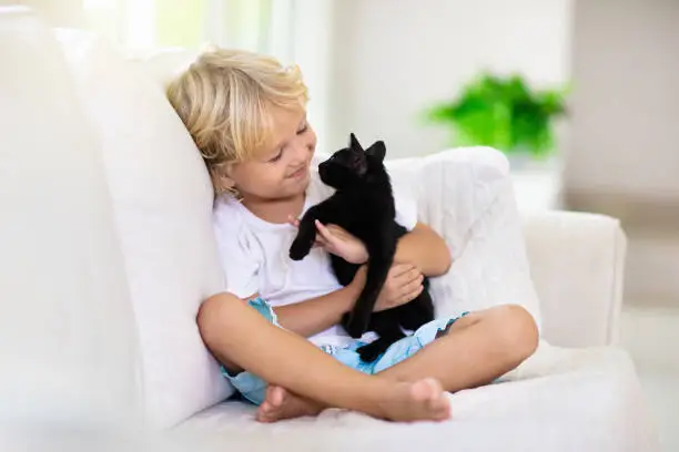 Photo of Child playing with baby cat. Kid and kitten.