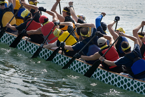 Dragon boat races for the finish.