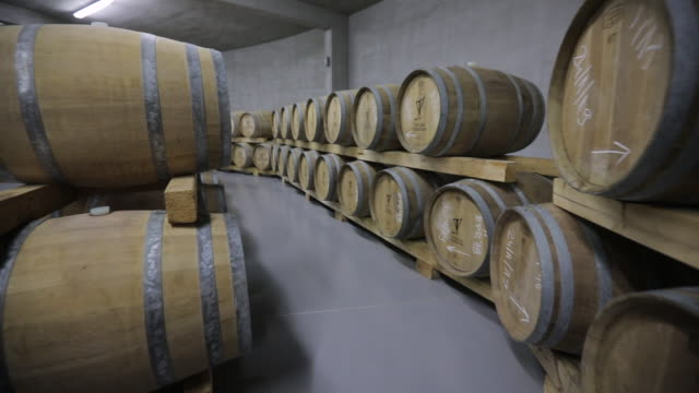 Modern wine cellar full of caskets