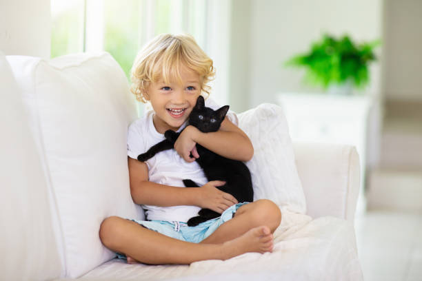 istock Child playing with baby cat. Kid and kitten. 1159907180