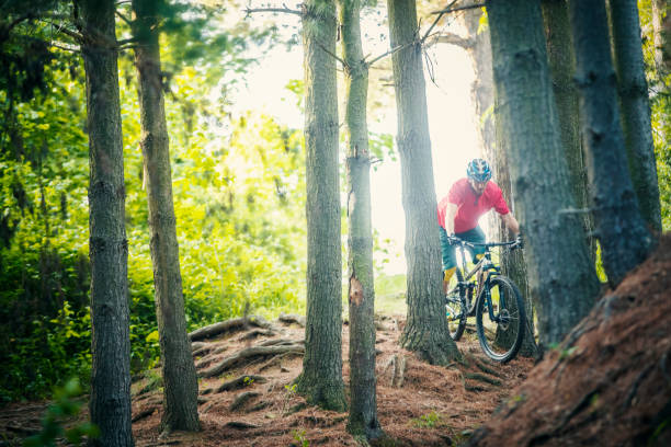 istock Mountain biker climbing in the woods 1159909831