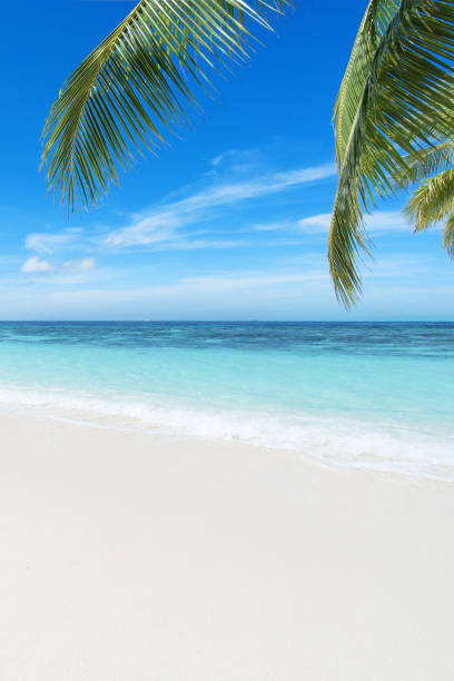 istock Beautiful tropical beach landscape 1159912159