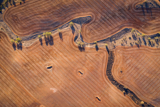 vista aérea campos de trigo - zona interior de australia fotografías e imágenes de stock