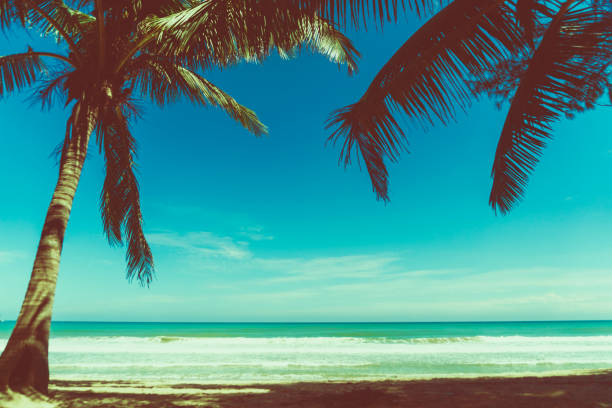 istock Tropical nature clean beach and white sand in summer with palm tree leaf sun light blue sky and bokeh abstract  background. 1159921917
