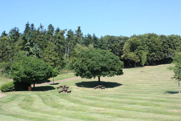 öffentlicher park gesäumt von bäumen rasen gemäht éle-de-france - île de stock-fotos und bilder