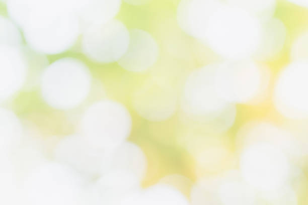 istock Gray and green abstract background circle bokeh for design backdrop 1159925005