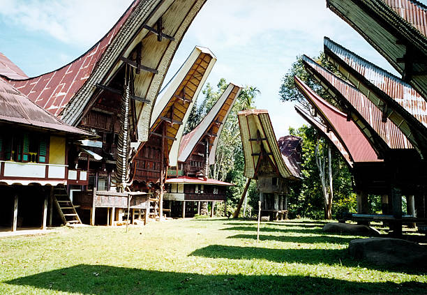 Traditional Toraja houses,Indonesia
