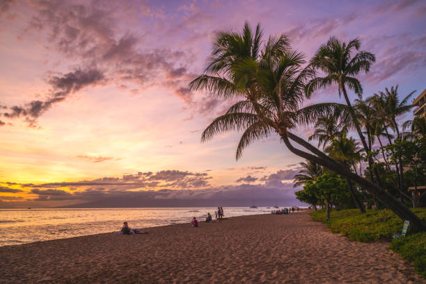 scenery at kaanapali beach in maui island, hawaii