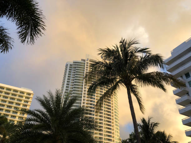 istock Residential buildings with palm trees at sunset 1159927221