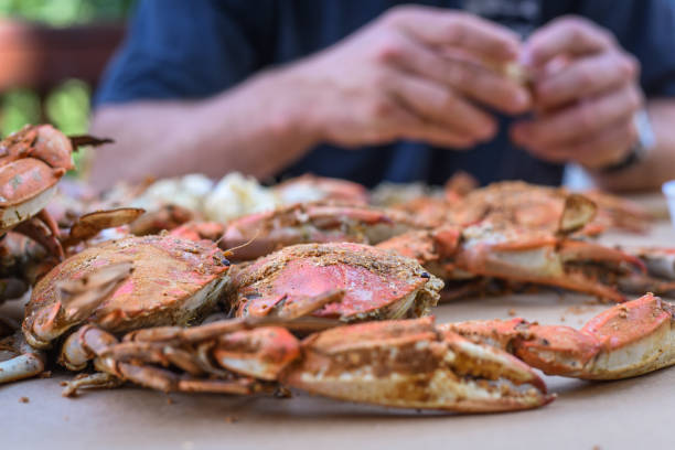 istock Fresh Crabs from Maryland - peeling 1159930128
