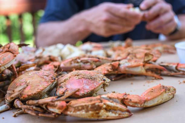 istock Fresh Crabs from Maryland - peeling 1159930138