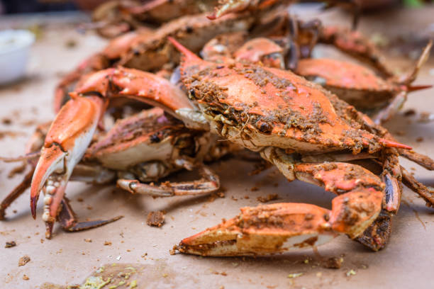 granchi freschi del maryland - peeling - maryland blue crab foto e immagini stock