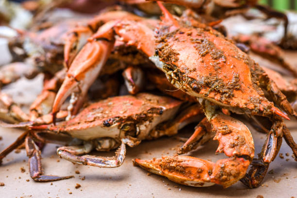 istock Fresh Crabs from Maryland - peeling 1159930172