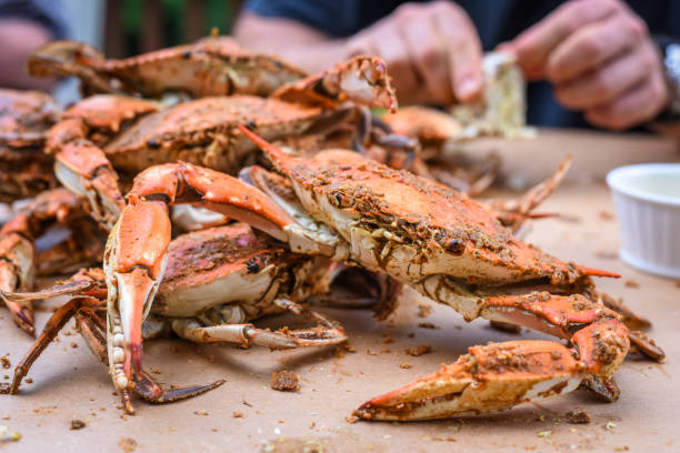 granchi freschi del maryland - peeling - maryland blue crab foto e immagini stock