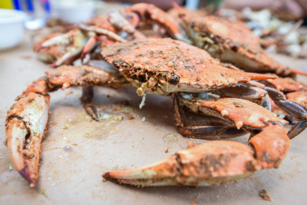 свежие крабы из мэриленда - пилинг - maryland blue crab стоковые фото и изображения