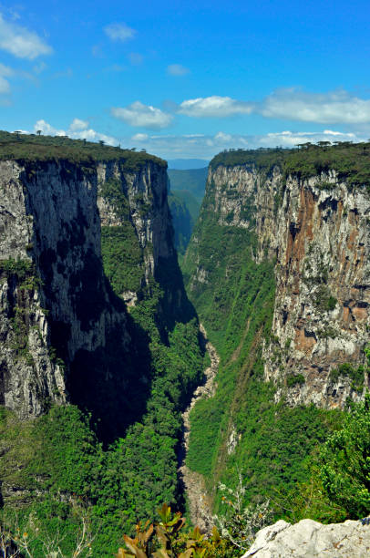 Itaimbezinho Canyon Aparados da Serra, Cambara do Sul, Rio Grande do Sul, Brazil. Big canyon with pines and green vegetation, blue sky and clouds canyon itaimbezinho rio grande do sul santa catarina southern brazil stock pictures, royalty-free photos & images