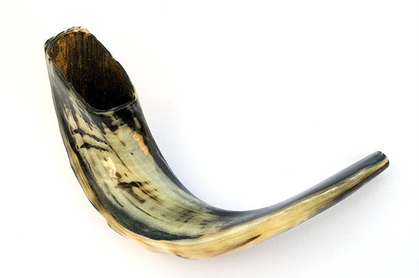 Shofar Shofar (Ram's horn) is used in the Jewish holiday of Rosh hashana(new year) simchat torah photos stock pictures, royalty-free photos & images