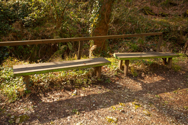 istock wooden bench in a public park in spring at sunset 1159933921