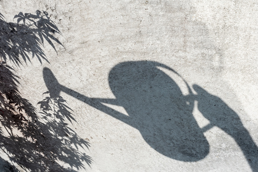 Shadow silhouette of a hand holding a watering can and leaves of a tree on a grey wall