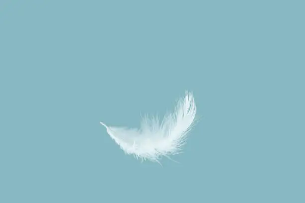 Photo of Single white feather falling in the air.