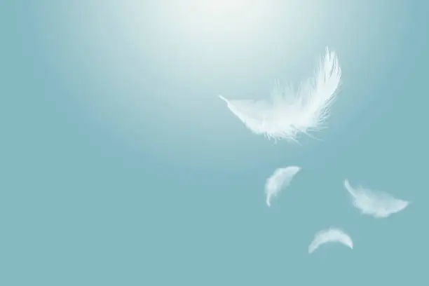 Feather abstract background