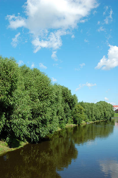 istock Peaceful scenic view of river and landscape 115994103