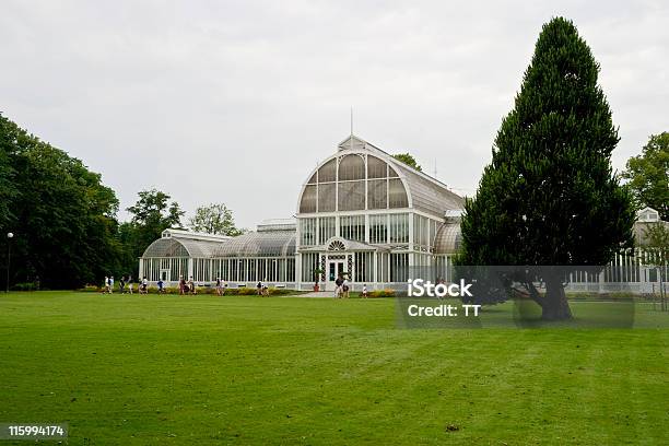 Photo libre de droit de Palm House banque d'images et plus d'images libres de droit de Antique - Antique, Arbre, Arbre tropical