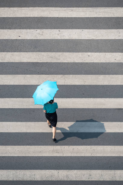 Young chinese woman with an umbrella walking on a zebra crossing stock photo