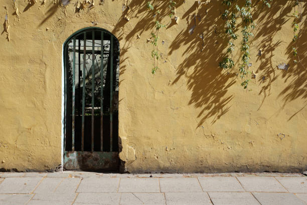 Front view of a yellow old wall with a falling shadow of ivy. Architectural background with empty space.