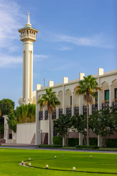 istock Lawn in front of the building 1159945449