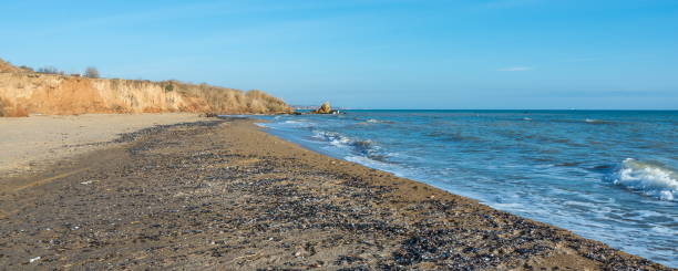 istock Mussels cast ashore after a storm 1159947221