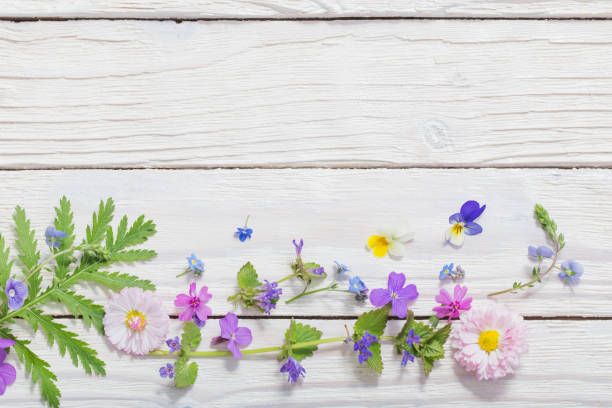 istock beautiful flowers on wooden background 1159947338