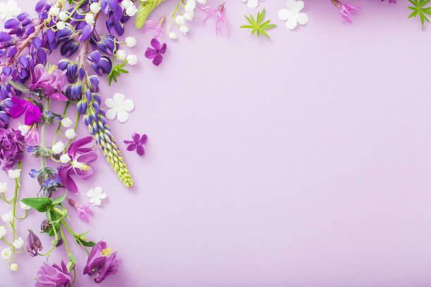 istock purple, blue, pink flowers on paper background 1159947356