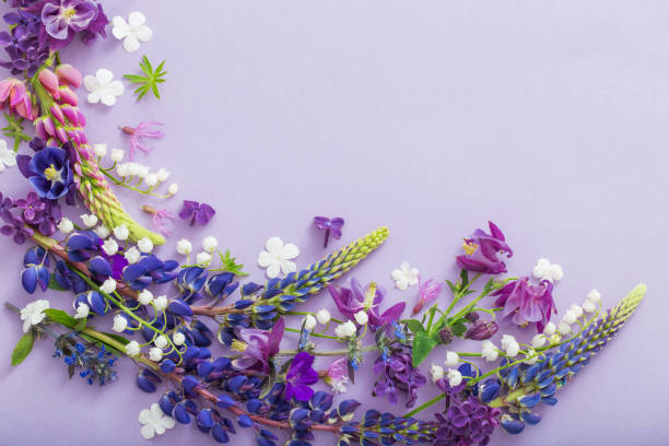 istock purple, blue, pink flowers on paper background 1159947357
