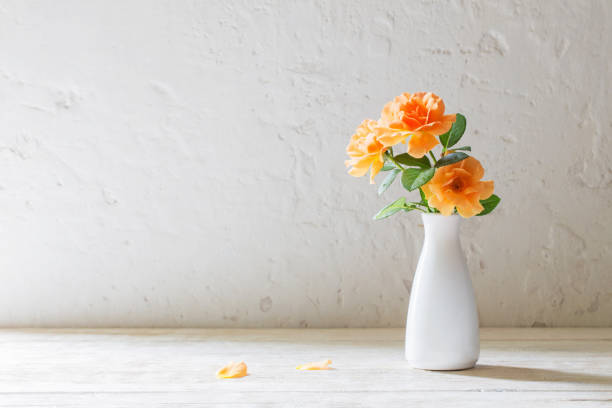 orange roses in vase on background white wall