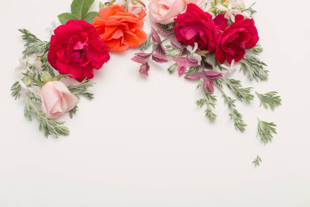istock rose flowers and leaves on white background 1159947409