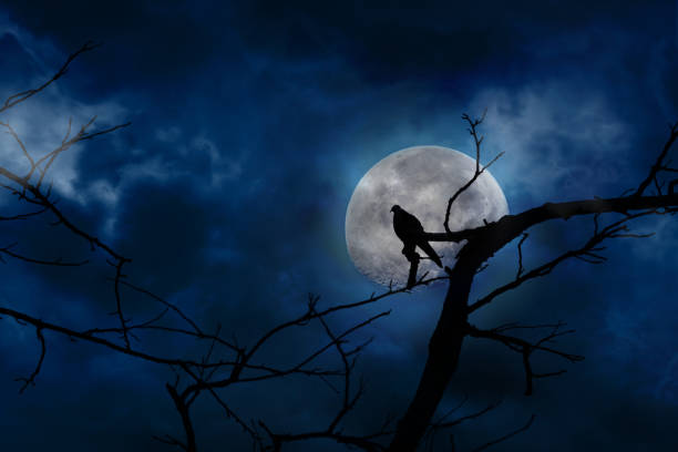 istock Scary blue background in silhouette of bird perched on tree branches and moon at midnight with bright and dark clouds 1159947795