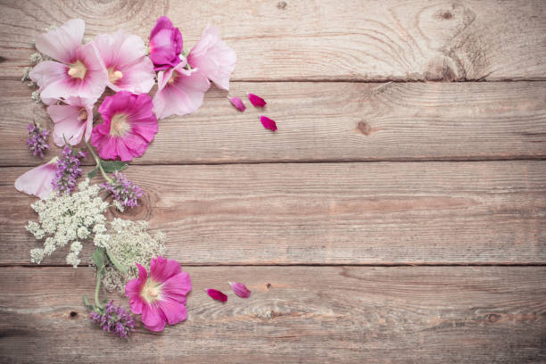 istock summer flowers on old wooden background 1159950180